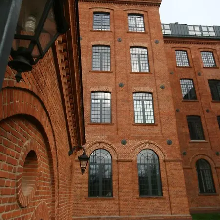 Factory وودج